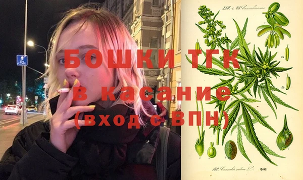 тгк Аркадак