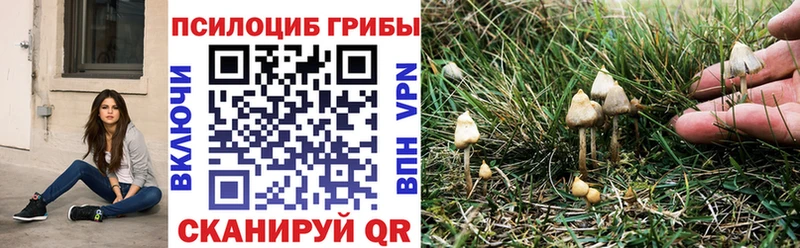 OMG как зайти  Динская  Псилоцибиновые грибы MAGIC MUSHROOMS  даркнет сайт 